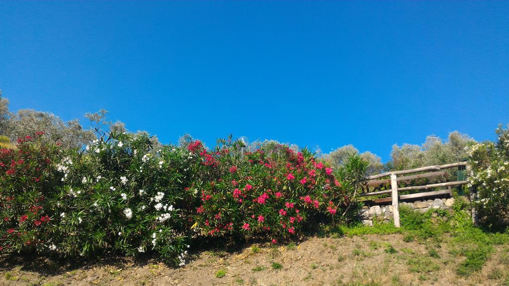 Agriturismo La Quiete Levanto Exterior photo